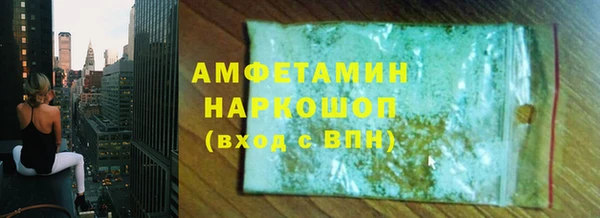 гидра Няндома