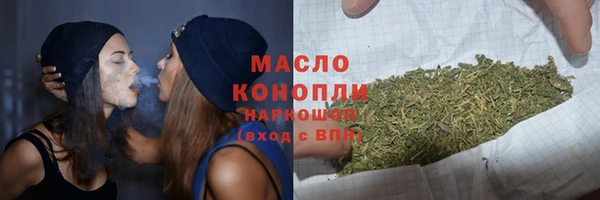 гидра Няндома