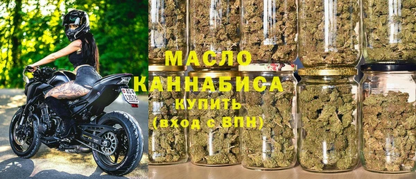 гидра Няндома