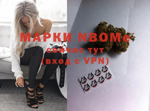гидра Няндома