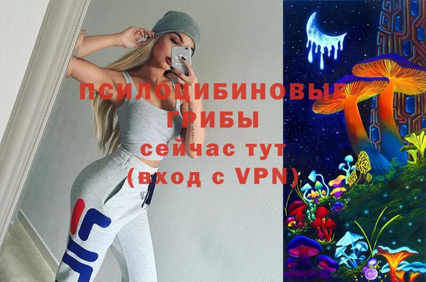 гидра Няндома