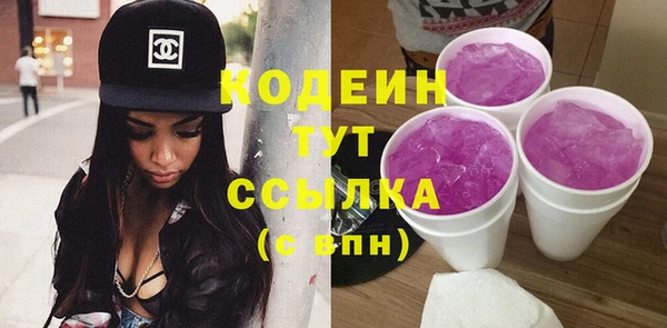 гидра Няндома