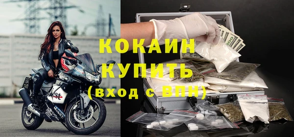 молекула духа Новозыбков