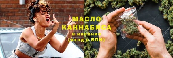 гидра Няндома