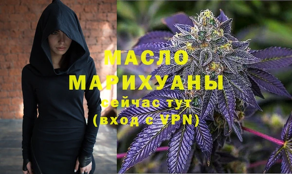 гидра Няндома