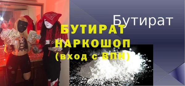 гидра Няндома