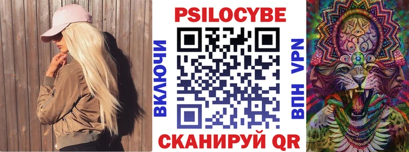 как найти   гидра ССЫЛКА  Псилоцибиновые грибы Psilocybe  Когалым 