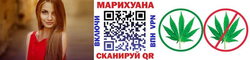 Бошки Шишки планчик Когалым