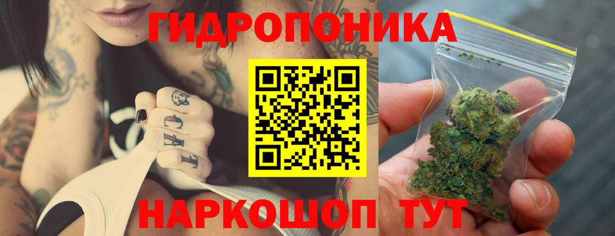 Каннабис семена  Вход с VPN  Канабис план  Когалым  Бошки марихуана план 